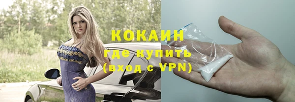хмурый Гусев