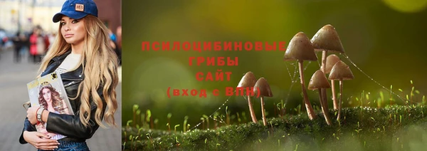 хмурый Гусев