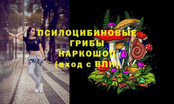 ешки Чекалин