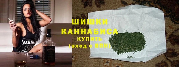 хмурый Гусев