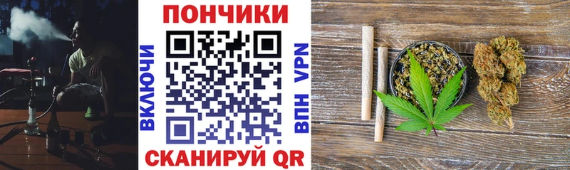 Канабис сатива  как найти закладки  Исилькуль 